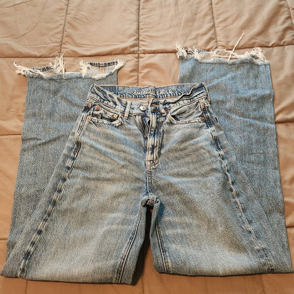 American Eagle baggy wide leg jeans